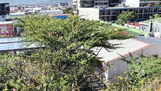 Alanaaraya (Alana Araya aka alanaallovertheplace) OnlyFans Leaks Average Girl Next Door Getting Naughty Porn Video 9