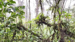 Alanaaraya (Alana Araya aka alanaallovertheplace) OnlyFans Leaks Average Girl Next Door Getting Naughty Porn Video 11