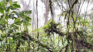 Alanaaraya (Alana Araya aka alanaallovertheplace) OnlyFans Leaks Average Girl Next Door Getting Naughty Porn Video 11