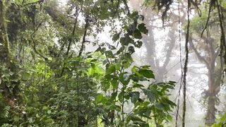 Alanaaraya (Alana Araya aka alanaallovertheplace) OnlyFans Leaks Average Girl Next Door Getting Naughty Porn Video 11