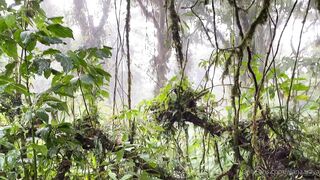 Alanaaraya (Alana Araya aka alanaallovertheplace) OnlyFans Leaks Average Girl Next Door Getting Naughty Porn Video 11