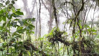 Alanaaraya (Alana Araya aka alanaallovertheplace) OnlyFans Leaks Average Girl Next Door Getting Naughty Porn Video 11