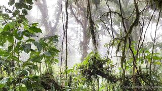 Alanaaraya (Alana Araya aka alanaallovertheplace) OnlyFans Leaks Average Girl Next Door Getting Naughty Porn Video 11