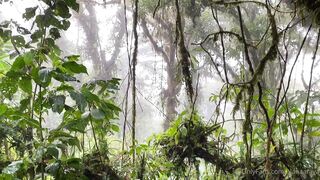 Alanaaraya (Alana Araya aka alanaallovertheplace) OnlyFans Leaks Average Girl Next Door Getting Naughty Porn Video 11