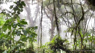 Alanaaraya (Alana Araya aka alanaallovertheplace) OnlyFans Leaks Average Girl Next Door Getting Naughty Porn Video 11