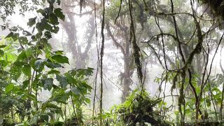 Alanaaraya (Alana Araya aka alanaallovertheplace) OnlyFans Leaks Average Girl Next Door Getting Naughty Porn Video 11