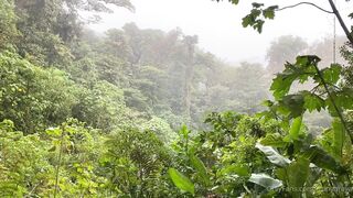 Alanaaraya (Alana Araya aka alanaallovertheplace) OnlyFans Leaks Average Girl Next Door Getting Naughty Porn Video 12