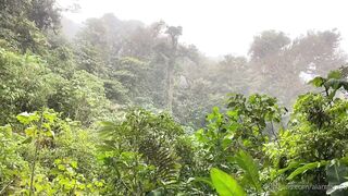 Alanaaraya (Alana Araya aka alanaallovertheplace) OnlyFans Leaks Average Girl Next Door Getting Naughty Porn Video 12