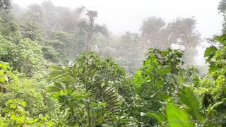 Alanaaraya (Alana Araya aka alanaallovertheplace) OnlyFans Leaks Average Girl Next Door Getting Naughty Porn Video 12