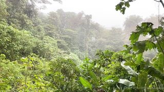 Alanaaraya (Alana Araya aka alanaallovertheplace) OnlyFans Leaks Average Girl Next Door Getting Naughty Porn Video 12