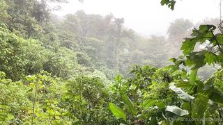 Alanaaraya (Alana Araya aka alanaallovertheplace) OnlyFans Leaks Average Girl Next Door Getting Naughty Porn Video 12