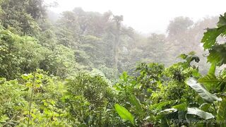 Alanaaraya (Alana Araya aka alanaallovertheplace) OnlyFans Leaks Average Girl Next Door Getting Naughty Porn Video 12