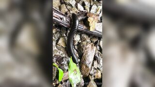 Alanaaraya (Alana Araya aka alanaallovertheplace) OnlyFans Leaks Average Girl Next Door Getting Naughty Porn Video 14