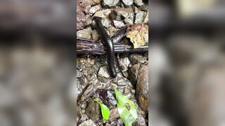 Alanaaraya (Alana Araya aka alanaallovertheplace) OnlyFans Leaks Average Girl Next Door Getting Naughty Porn Video 14