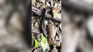 Alanaaraya (Alana Araya aka alanaallovertheplace) OnlyFans Leaks Average Girl Next Door Getting Naughty Porn Video 14