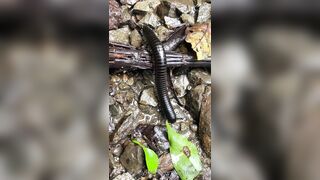 Alanaaraya (Alana Araya aka alanaallovertheplace) OnlyFans Leaks Average Girl Next Door Getting Naughty Porn Video 14