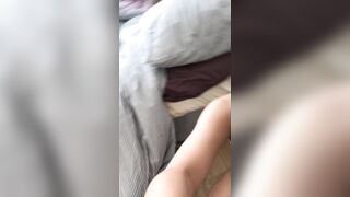 Phoebe OnlyFans Leaks Asian Chinese Amateur Porn Video 2