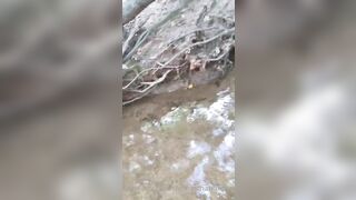 Thematchandkerosene (Jenessa Rain aka Janessa R) OnlyFans Leaks The Match and Kerosene Porn Video 14