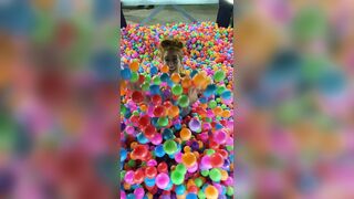 Heyitsapril (April O Neil aka heyitsapriloneil) OnlyFans Leaks iloveapriloneil Busty Slut Porn Video 57