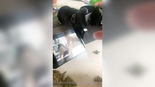 Lucelu (mynamesluce aka doingthemostluce aka tslucesworld) OnlyFans Leaks Electric Chick Porn Video 70