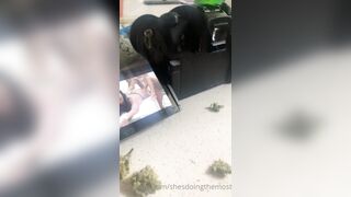 Lucelu (mynamesluce aka doingthemostluce aka tslucesworld) OnlyFans Leaks Electric Chick Porn Video 70