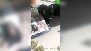 Lucelu (mynamesluce aka doingthemostluce aka tslucesworld) OnlyFans Leaks Electric Chick Porn Video 70